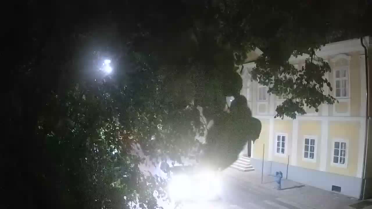 Spletna kamera v živo Petrinja centralni park – po potresu