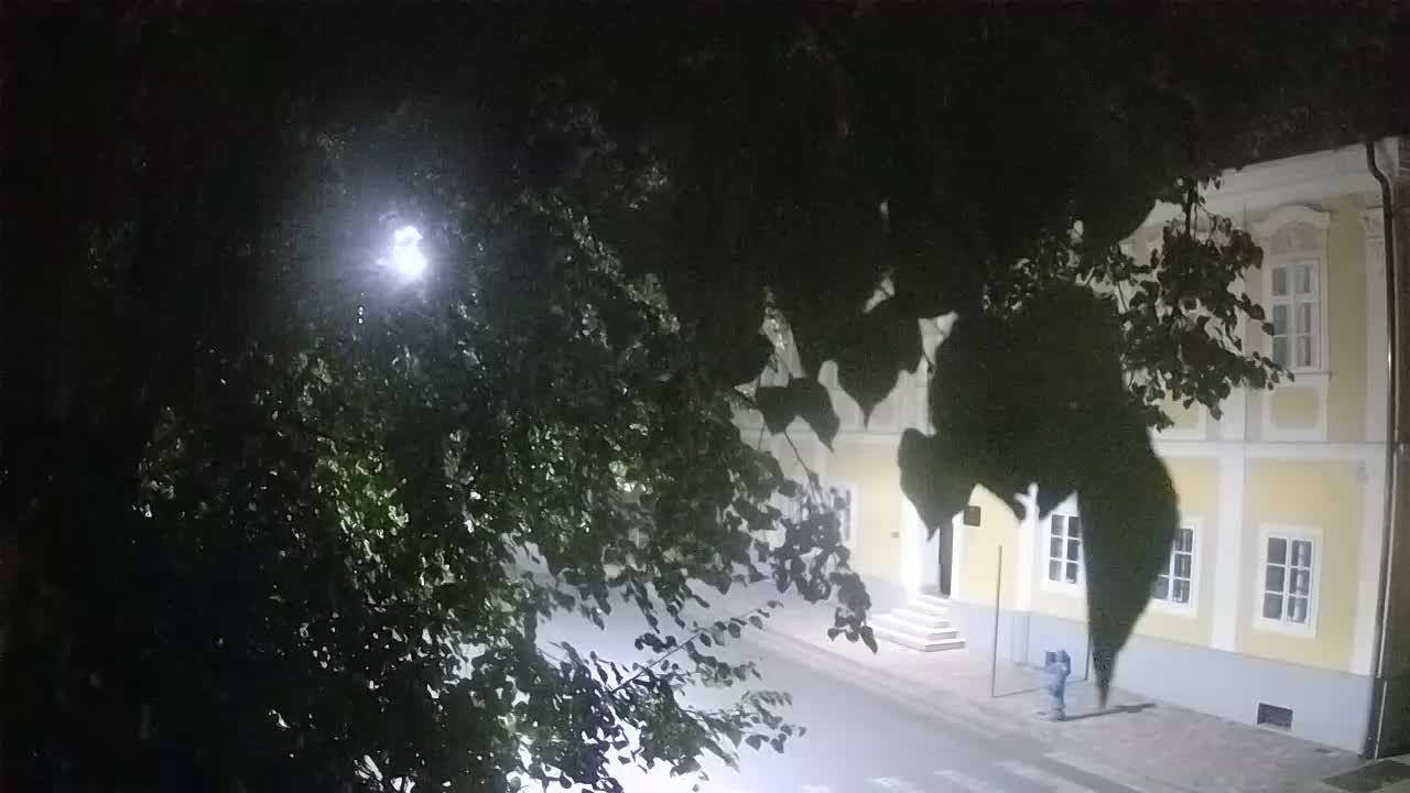 Live webcam Petrinja central park – after the earthquake