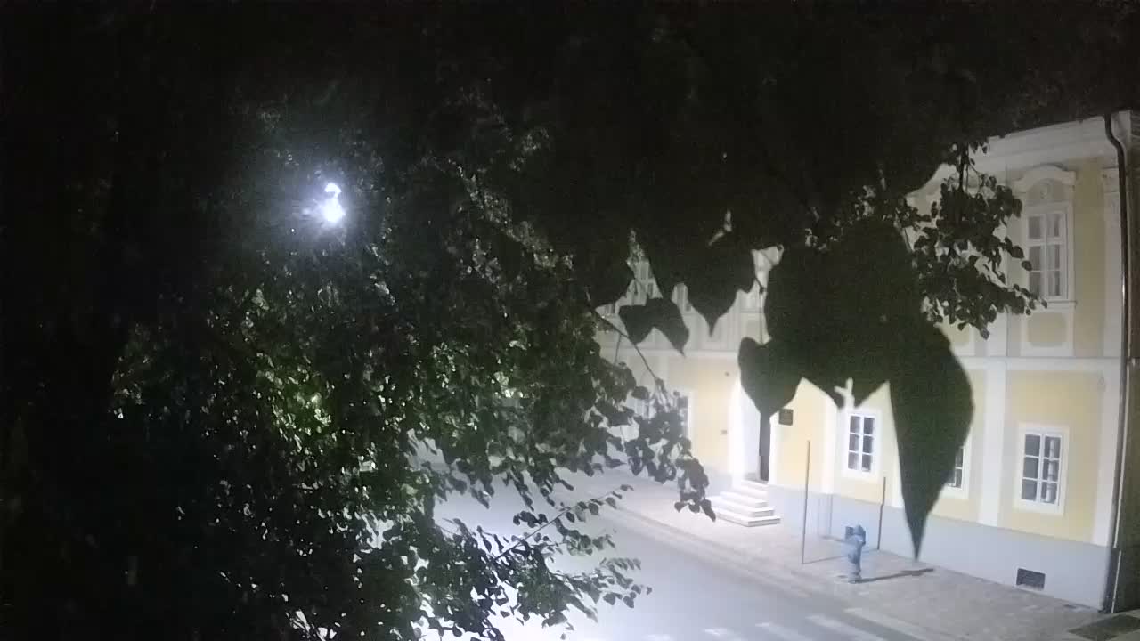 Spletna kamera v živo Petrinja centralni park – po potresu