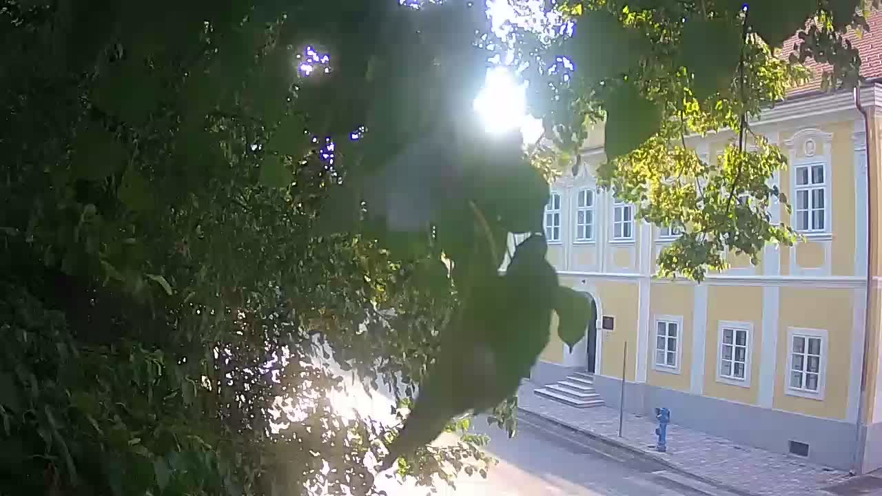 Live webcam parco Petrinja – dopo il terremoto