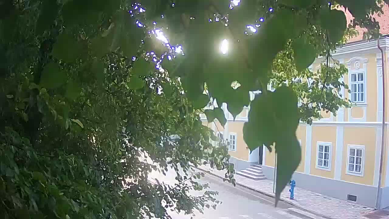 Live webcam parco Petrinja – dopo il terremoto