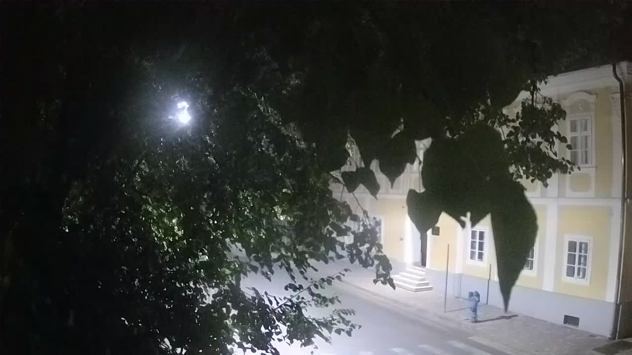 Live webcam Petrinja central park – after the earthquake