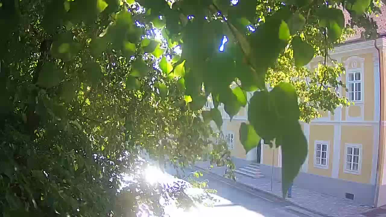 Web kamera uživo Petrinja centralni park – nakon potresa