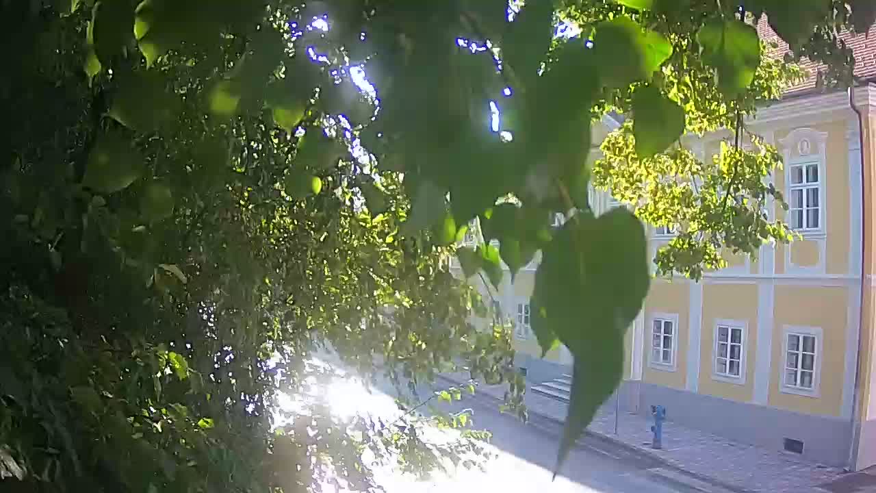 Webcam en direct du parc Petrinja – après le tremblement de terre