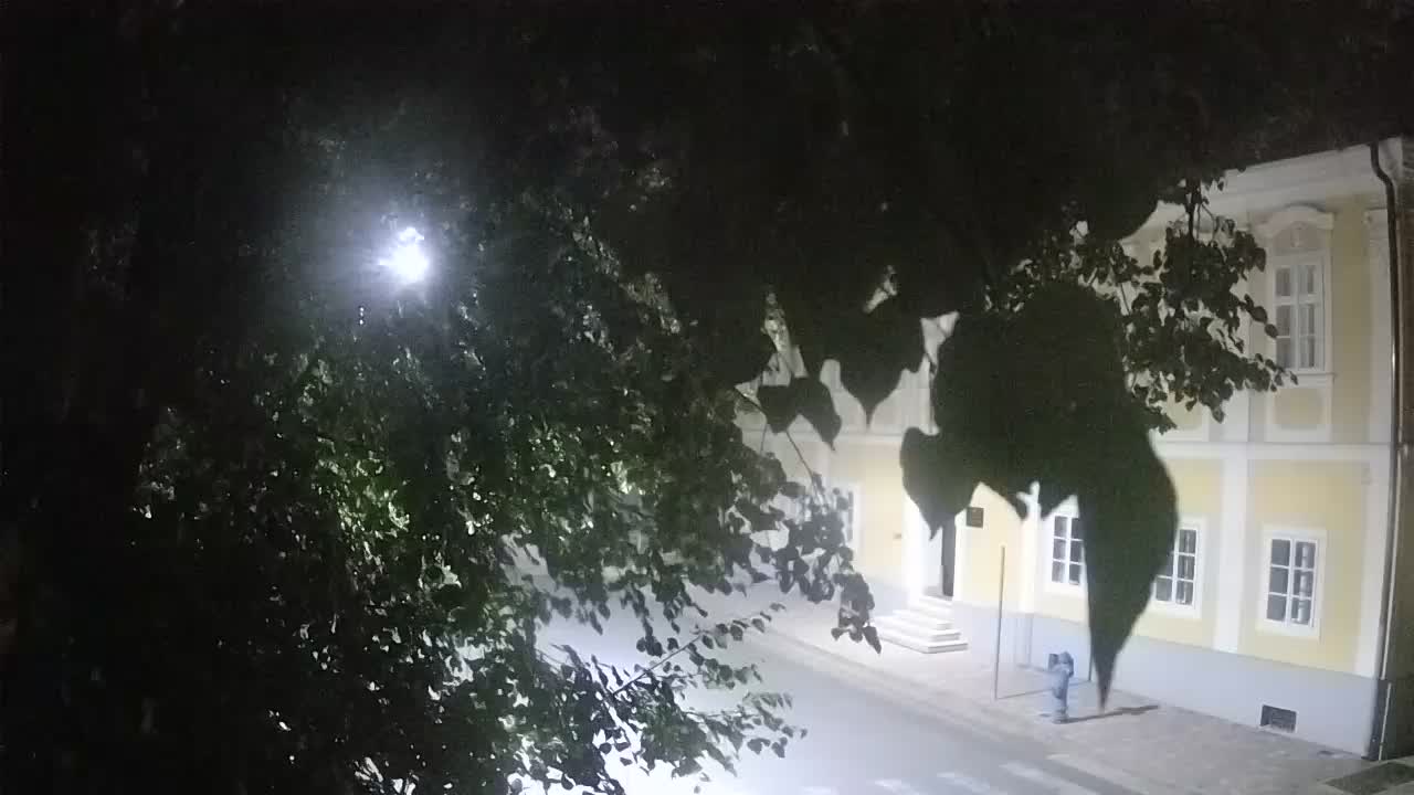Live webcam parco Petrinja – dopo il terremoto
