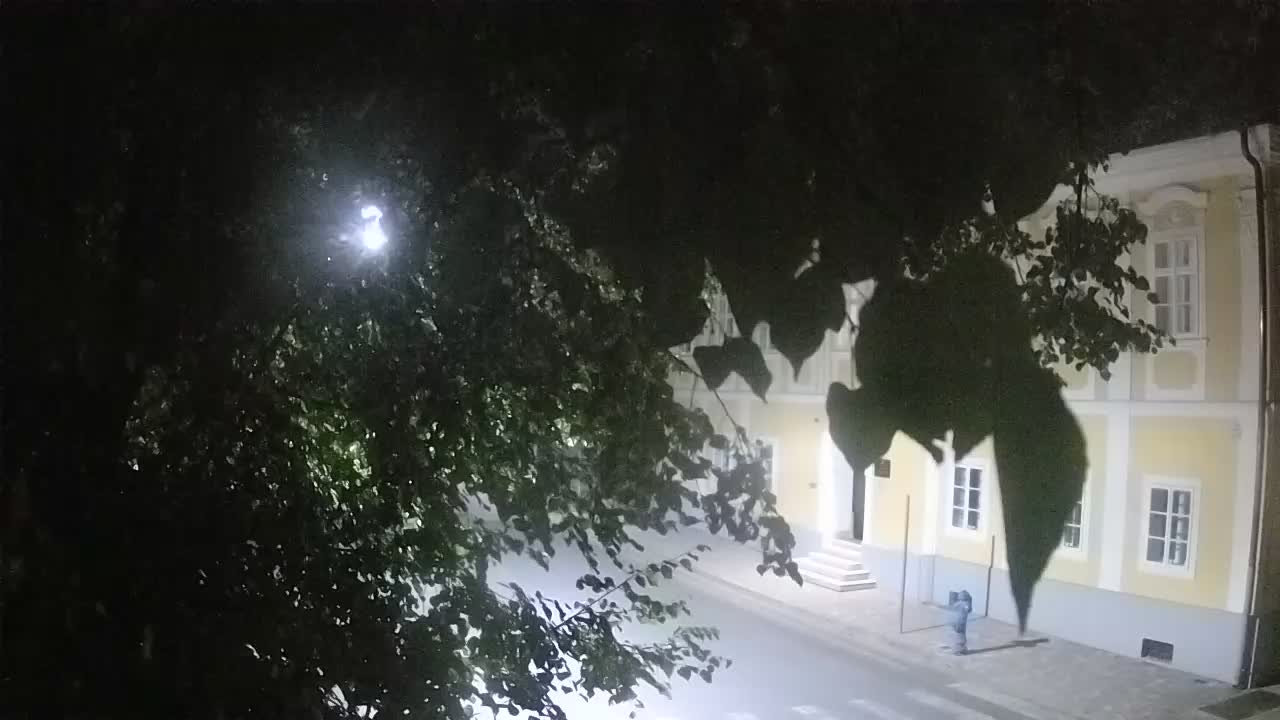 Spletna kamera v živo Petrinja centralni park – po potresu