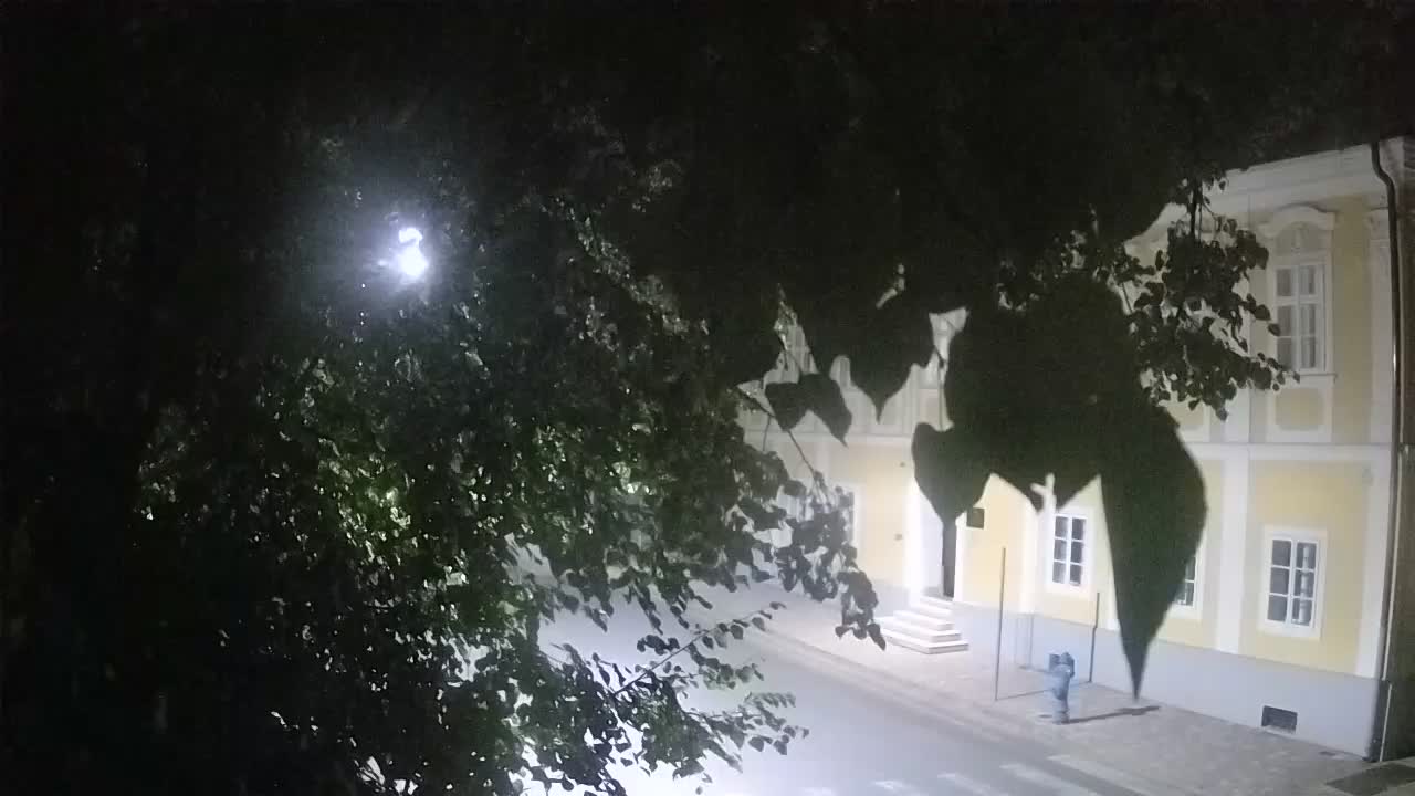 Webcam en direct du parc Petrinja – après le tremblement de terre