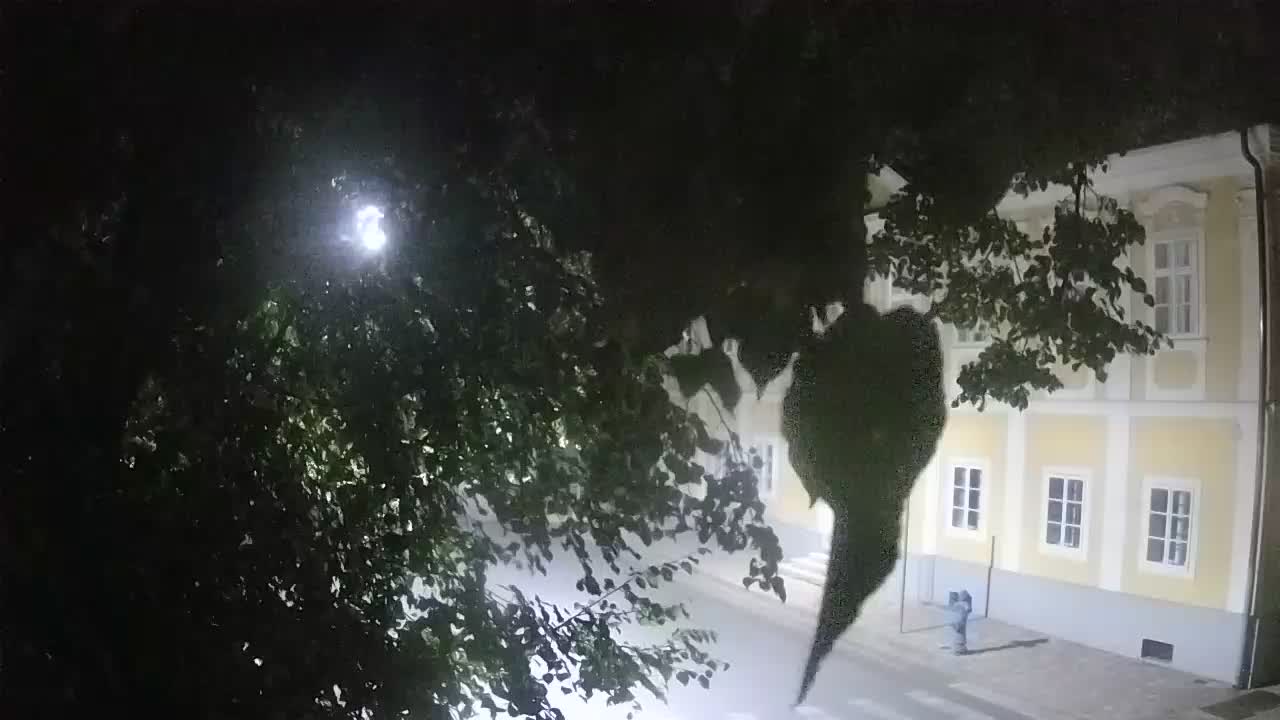 Webcam en direct du parc Petrinja – après le tremblement de terre