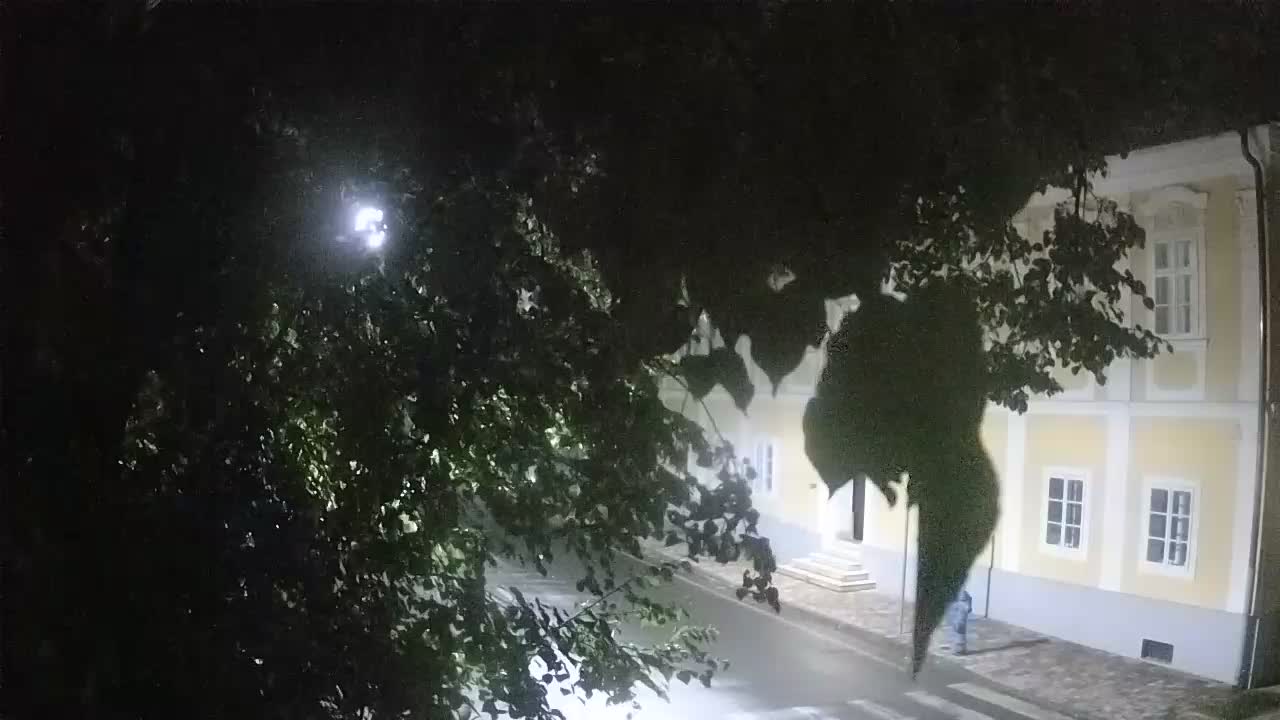 Web kamera uživo Petrinja centralni park – nakon potresa