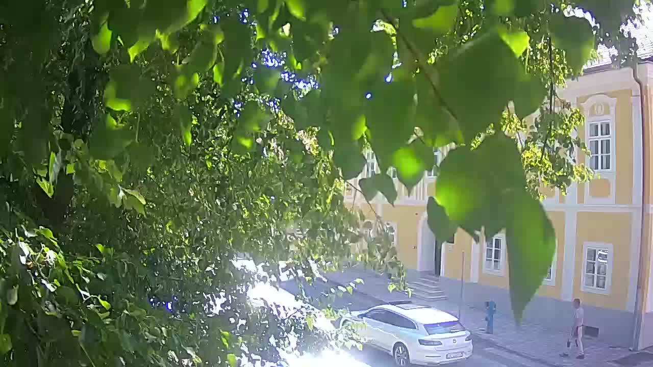 Spletna kamera v živo Petrinja centralni park – po potresu
