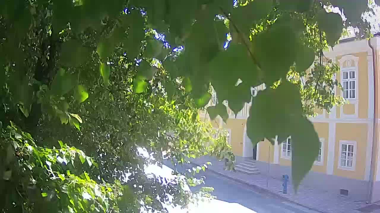Webcam en vivo parque Petrinja – después del terremoto