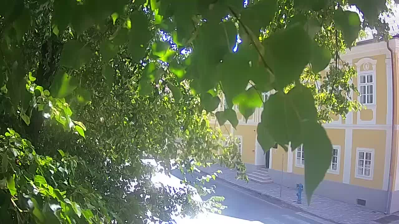 Webcam en vivo parque Petrinja – después del terremoto