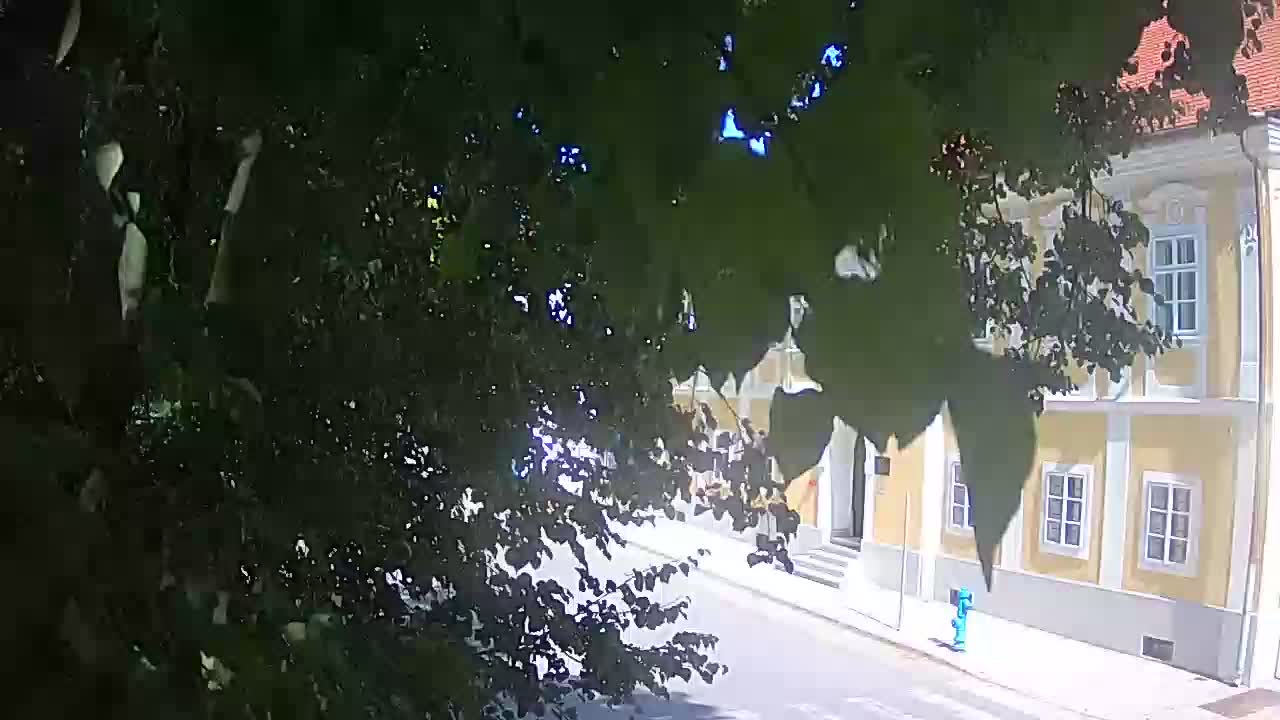 Live webcam parco Petrinja – dopo il terremoto