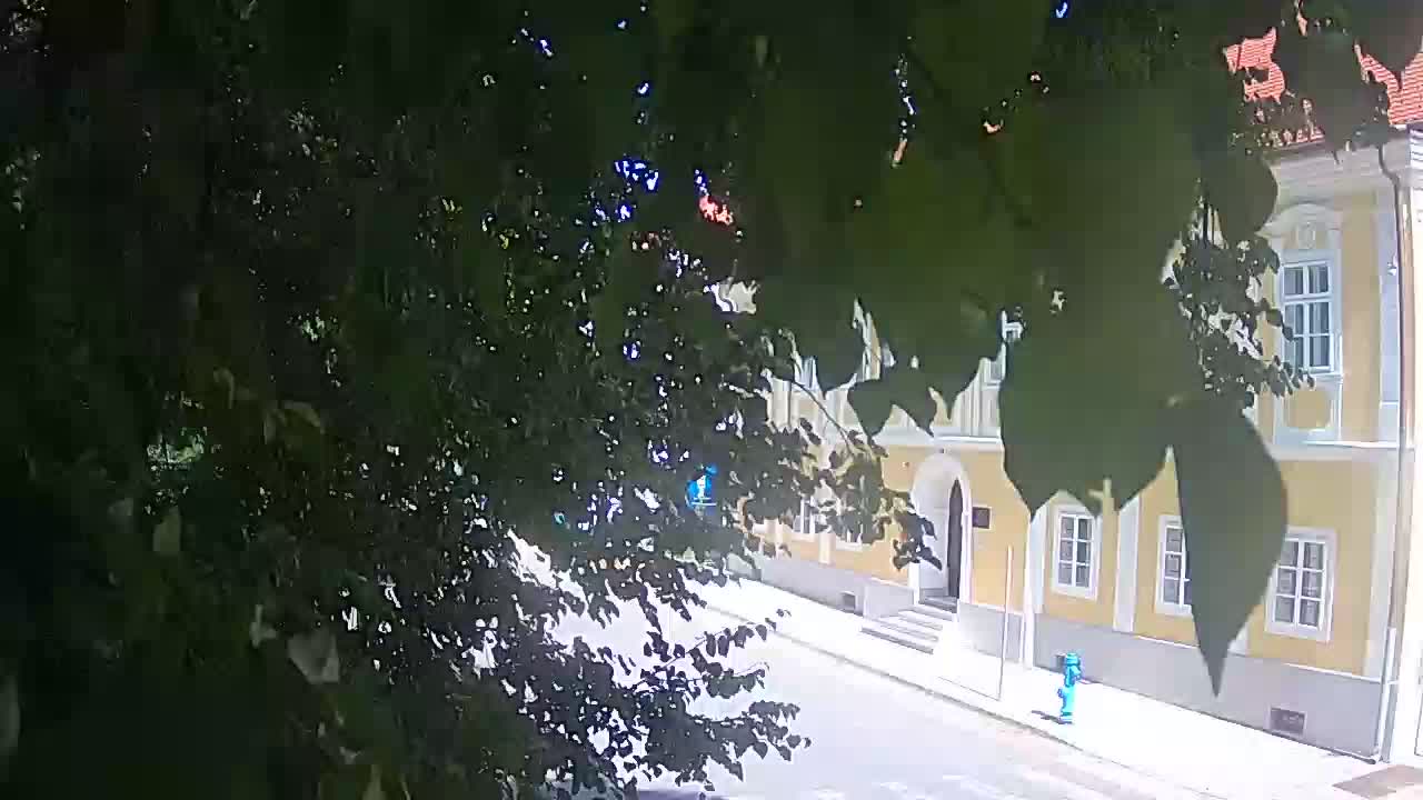 Web kamera uživo Petrinja centralni park – nakon potresa