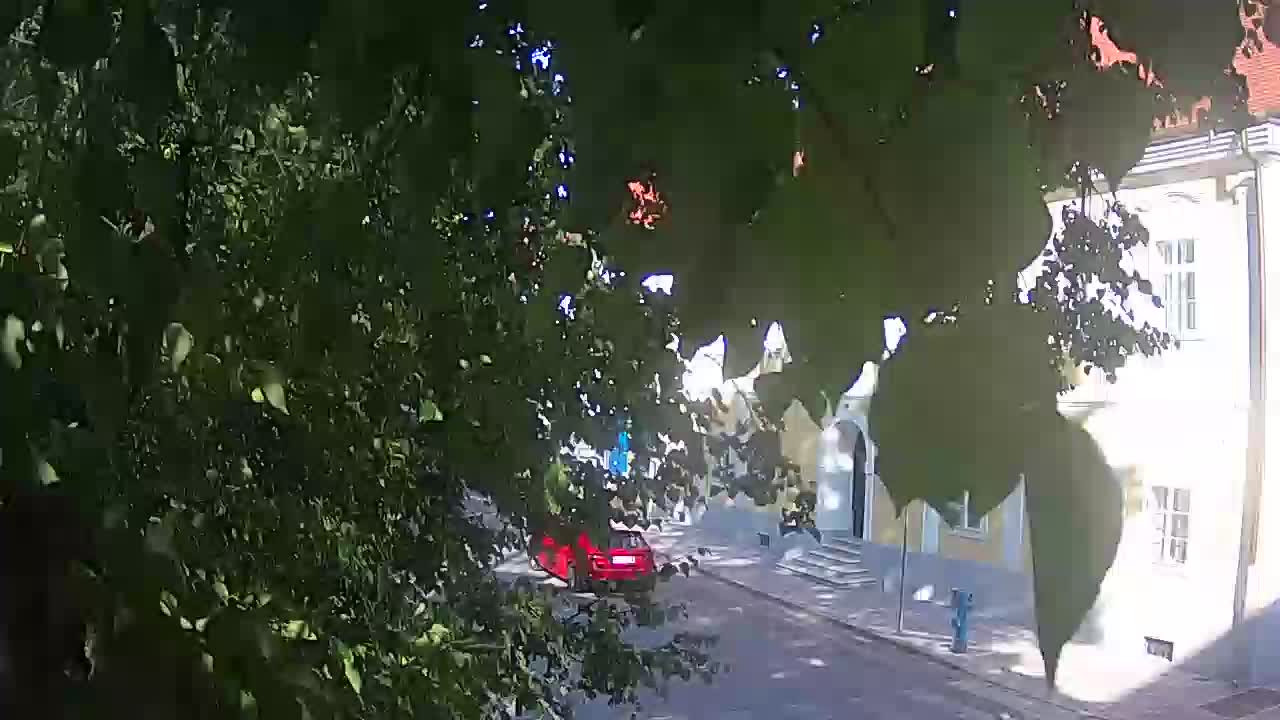 Webcam en direct du parc Petrinja – après le tremblement de terre