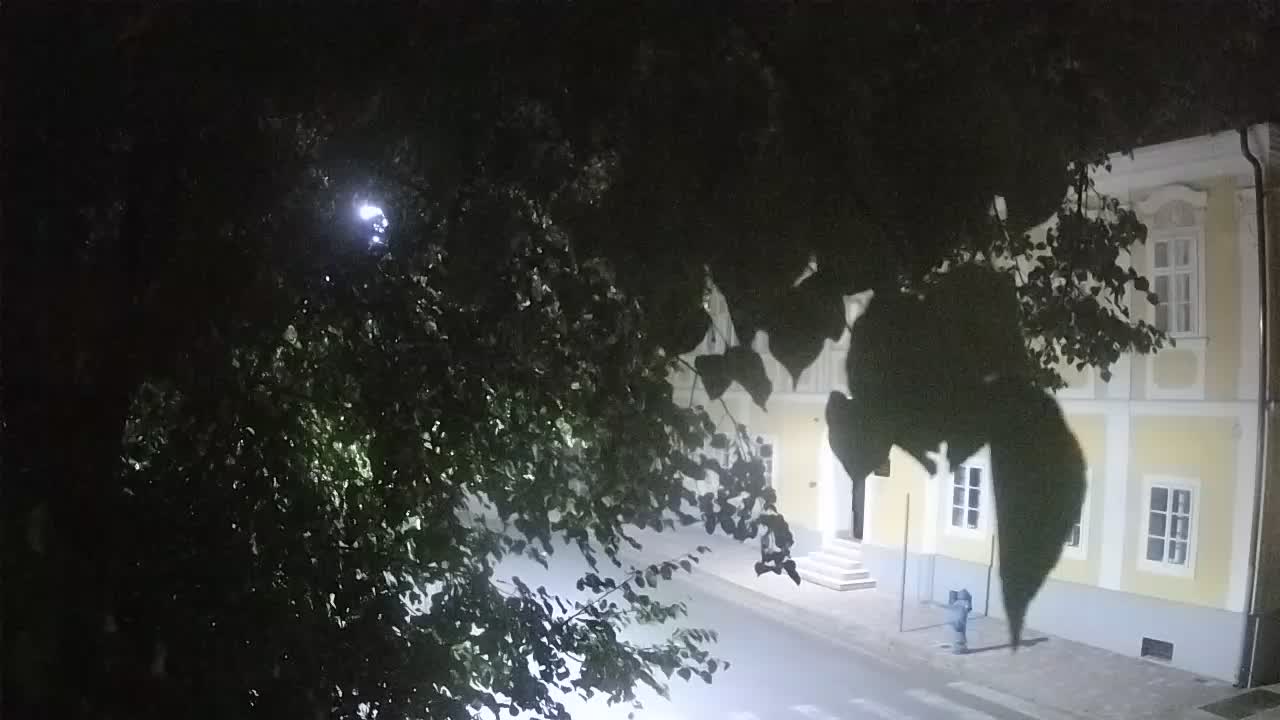 Spletna kamera v živo Petrinja centralni park – po potresu