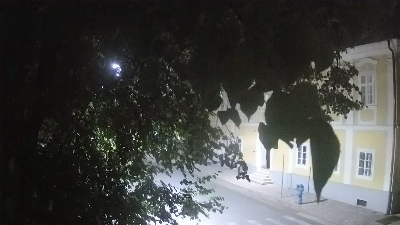 Live webcam parco Petrinja – dopo il terremoto