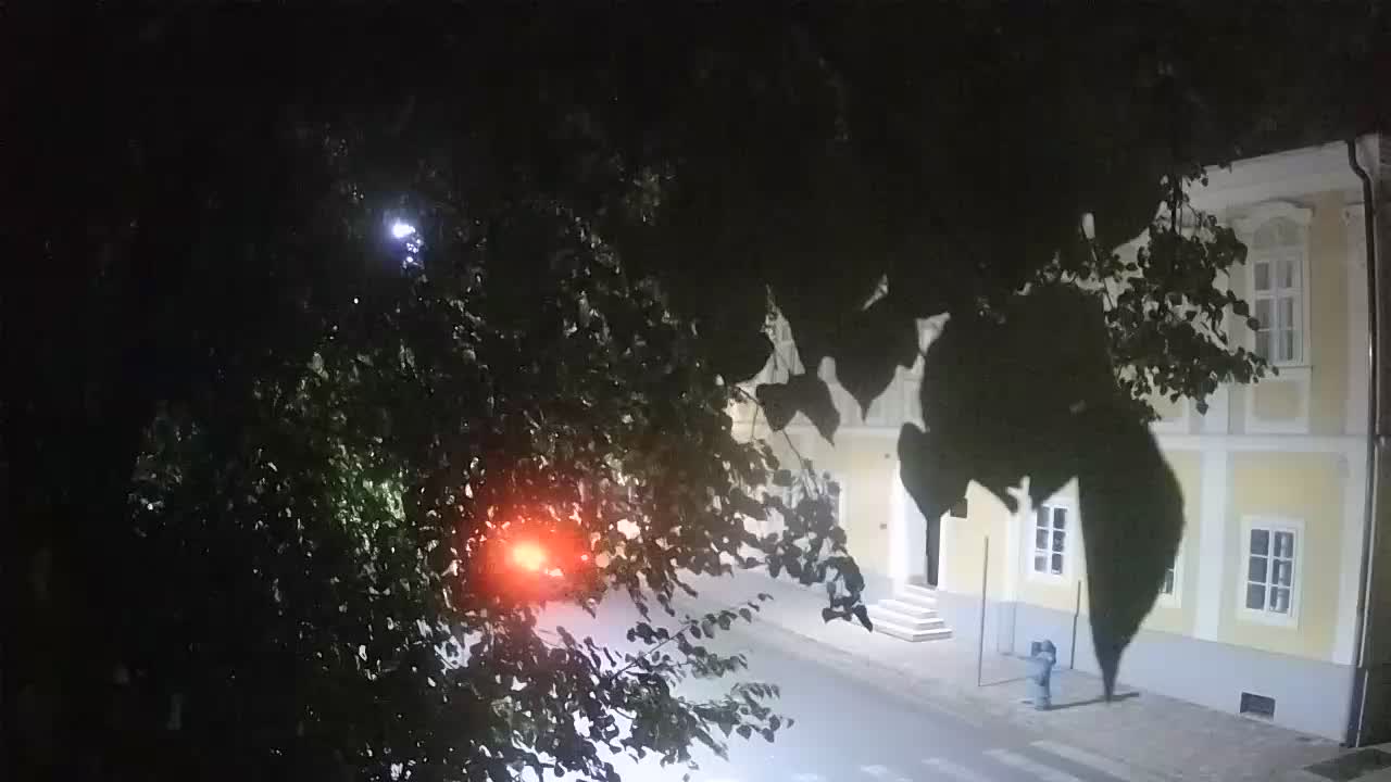 Live webcam parco Petrinja – dopo il terremoto
