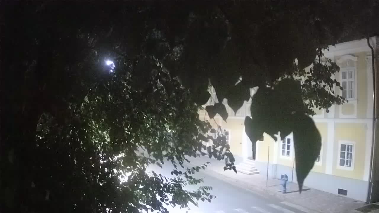 Live Webcam Petrinja Park – nach dem Erdbeben