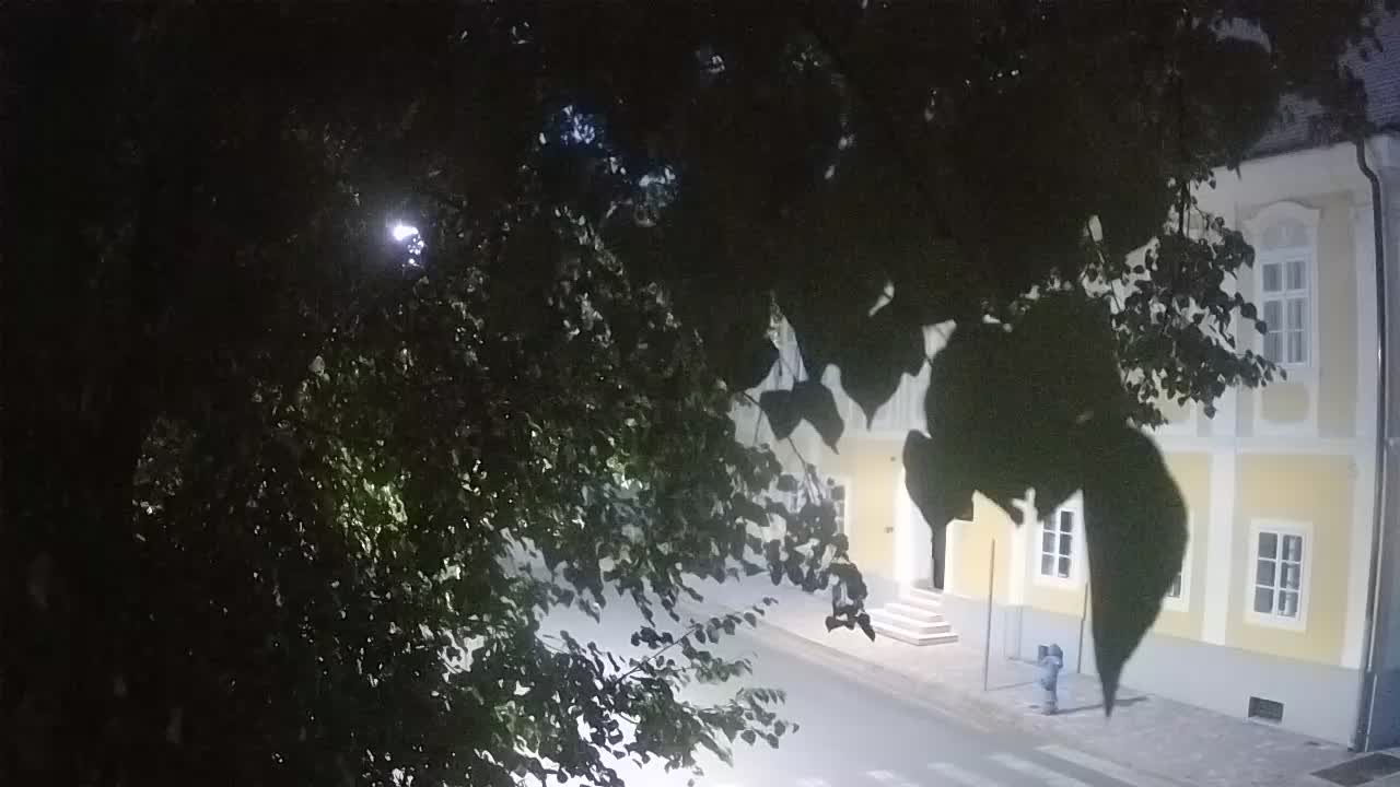 Webcam en vivo parque Petrinja – después del terremoto
