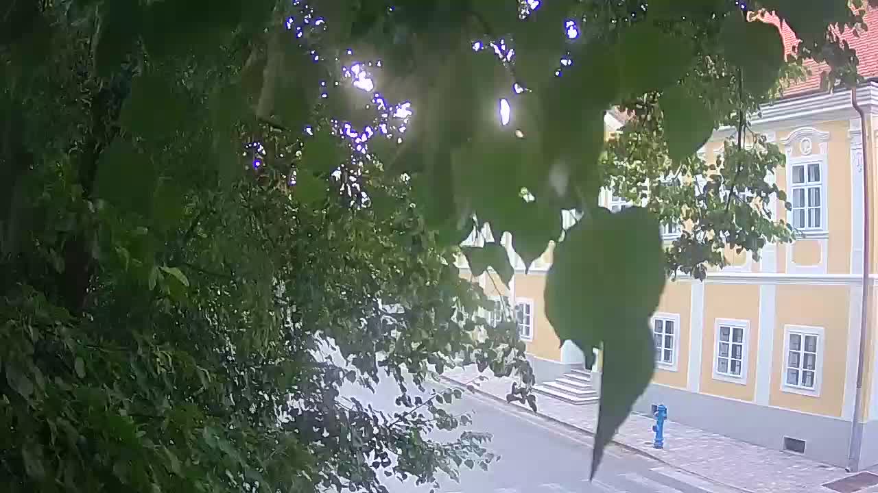 Spletna kamera v živo Petrinja centralni park – po potresu