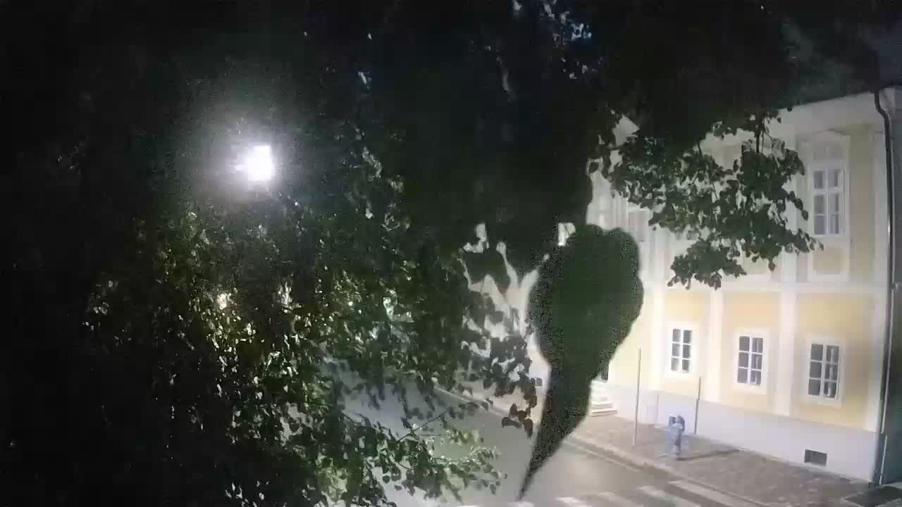 Webcam en vivo parque Petrinja – después del terremoto