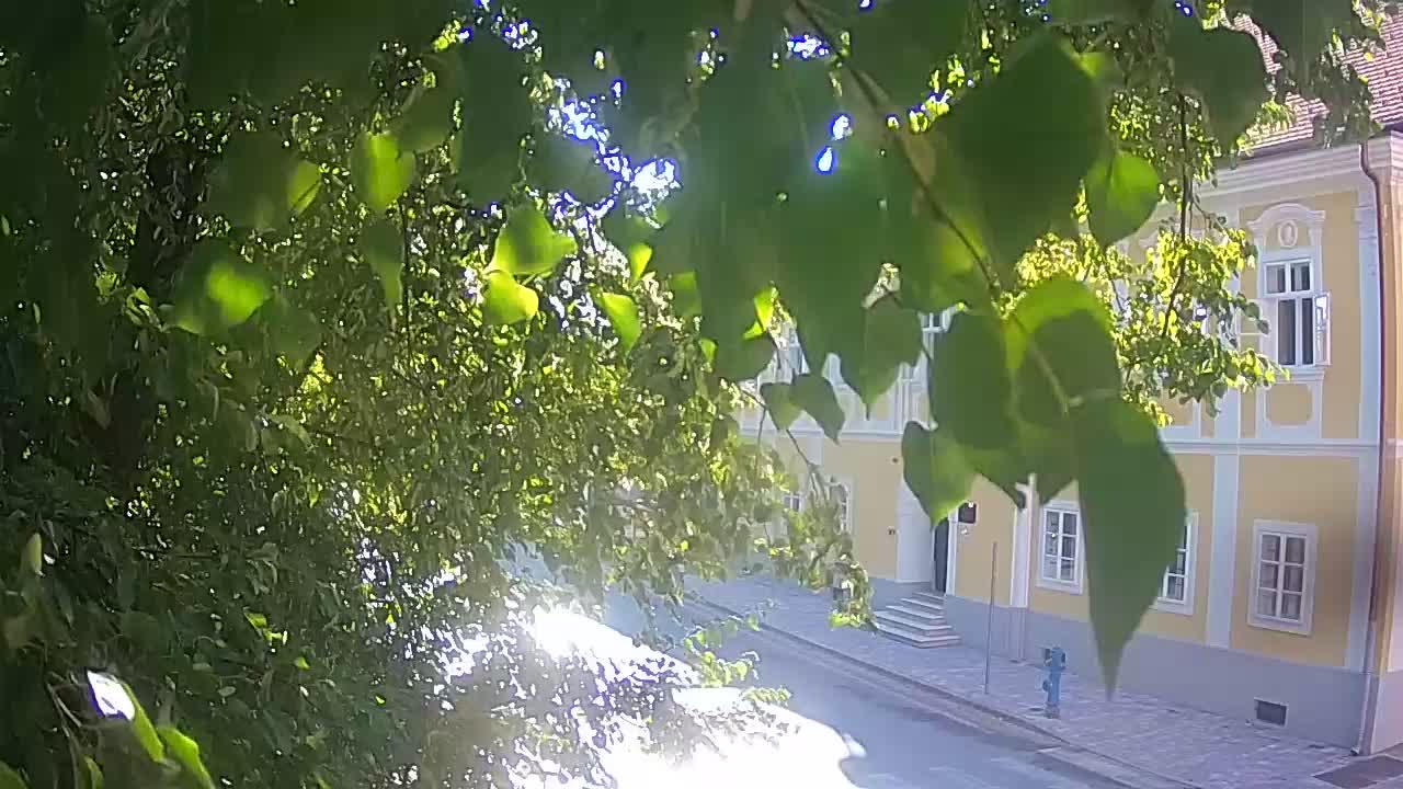 Live Webcam Petrinja Park – nach dem Erdbeben