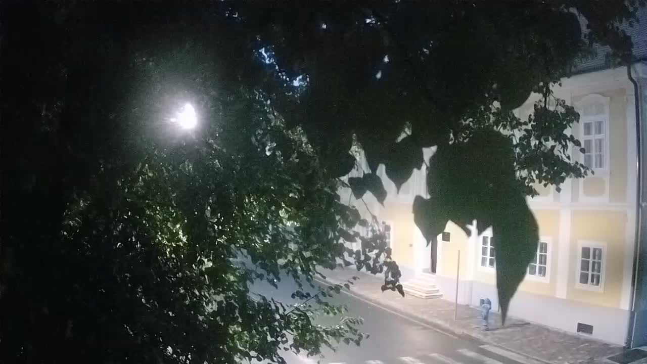 Web kamera uživo Petrinja centralni park – nakon potresa