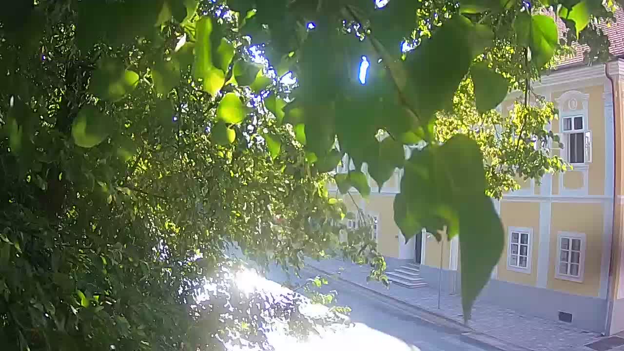 Live Webcam Petrinja Park – nach dem Erdbeben