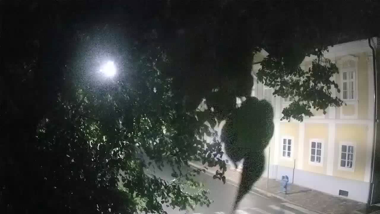 Web kamera uživo Petrinja centralni park – nakon potresa