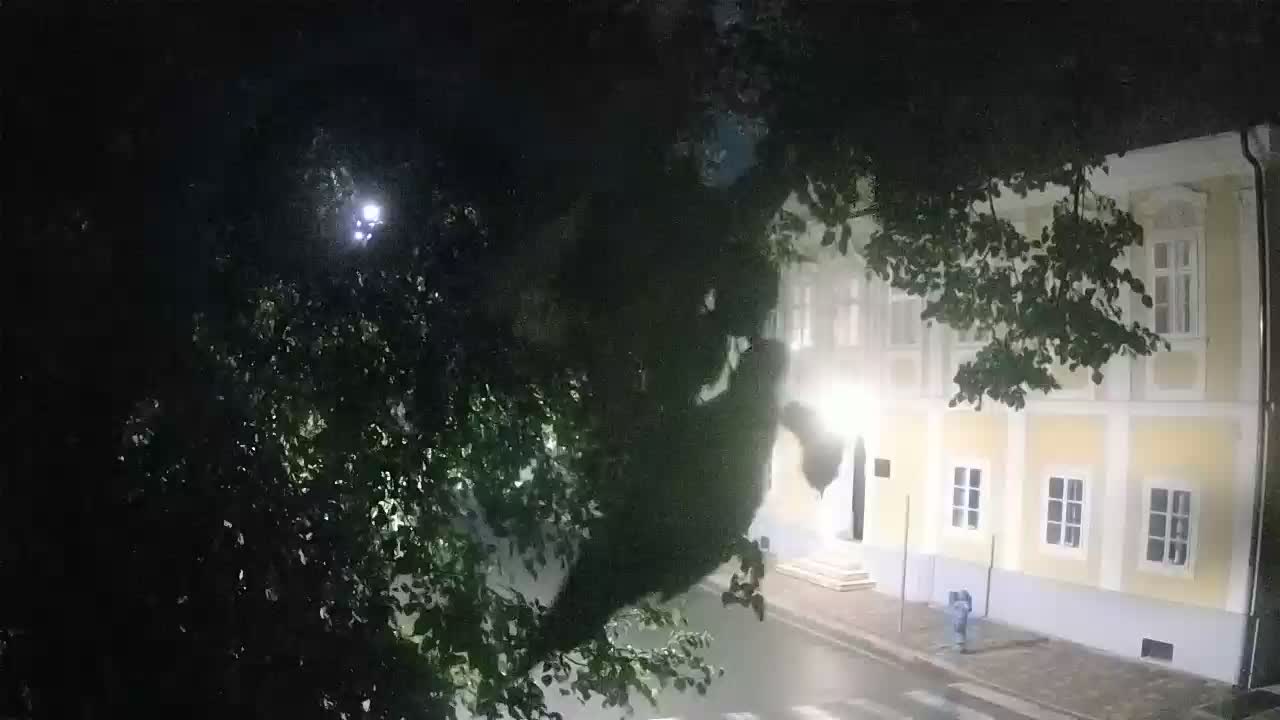 Webcam en vivo parque Petrinja – después del terremoto