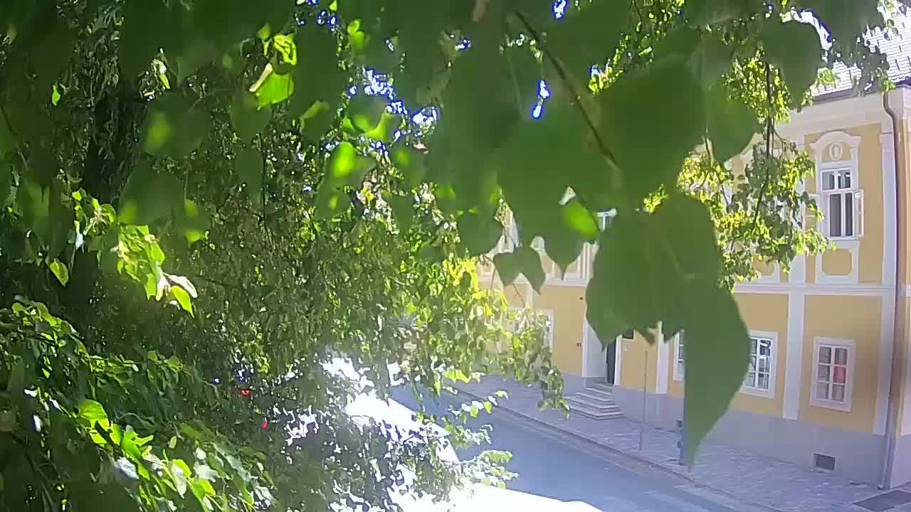 Spletna kamera v živo Petrinja centralni park – po potresu