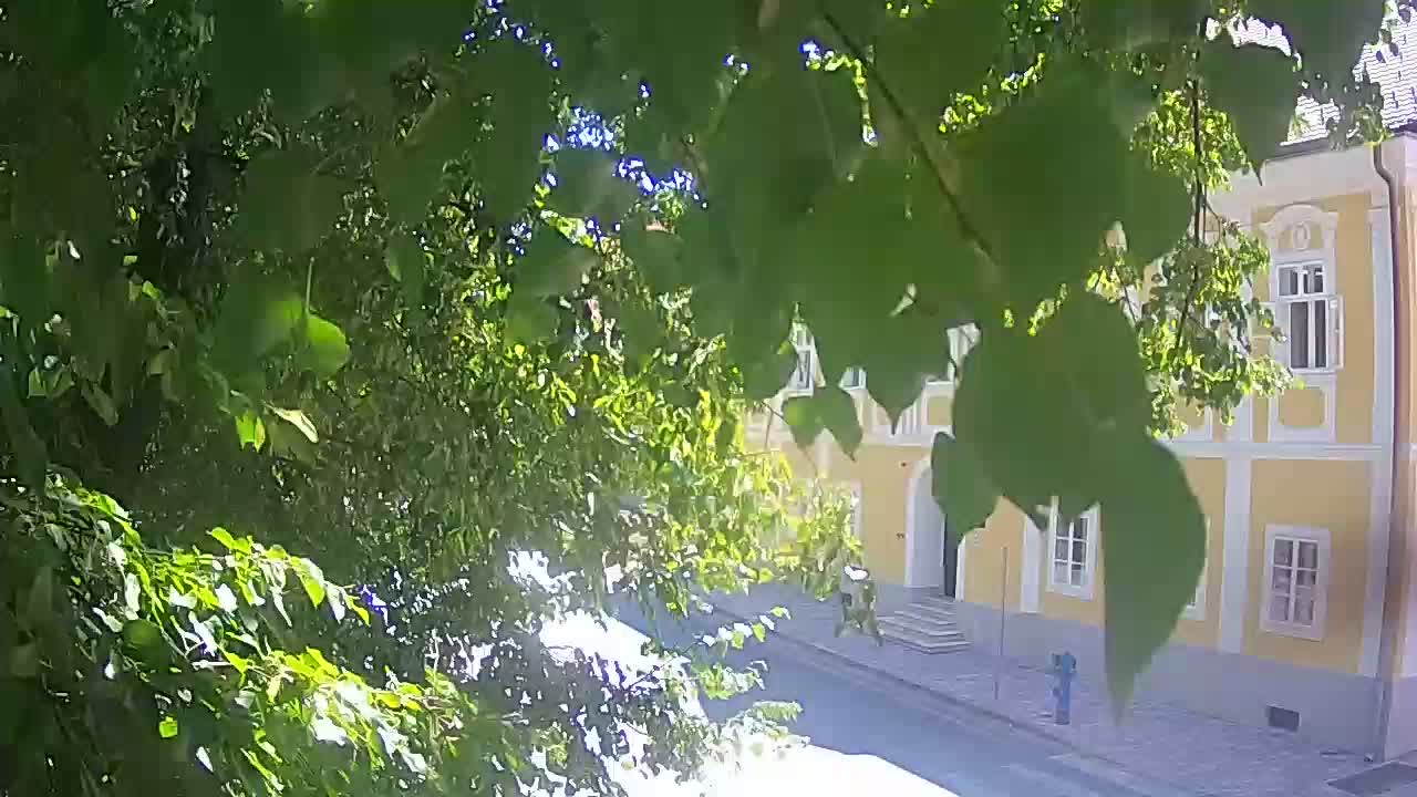 Live webcam parco Petrinja – dopo il terremoto