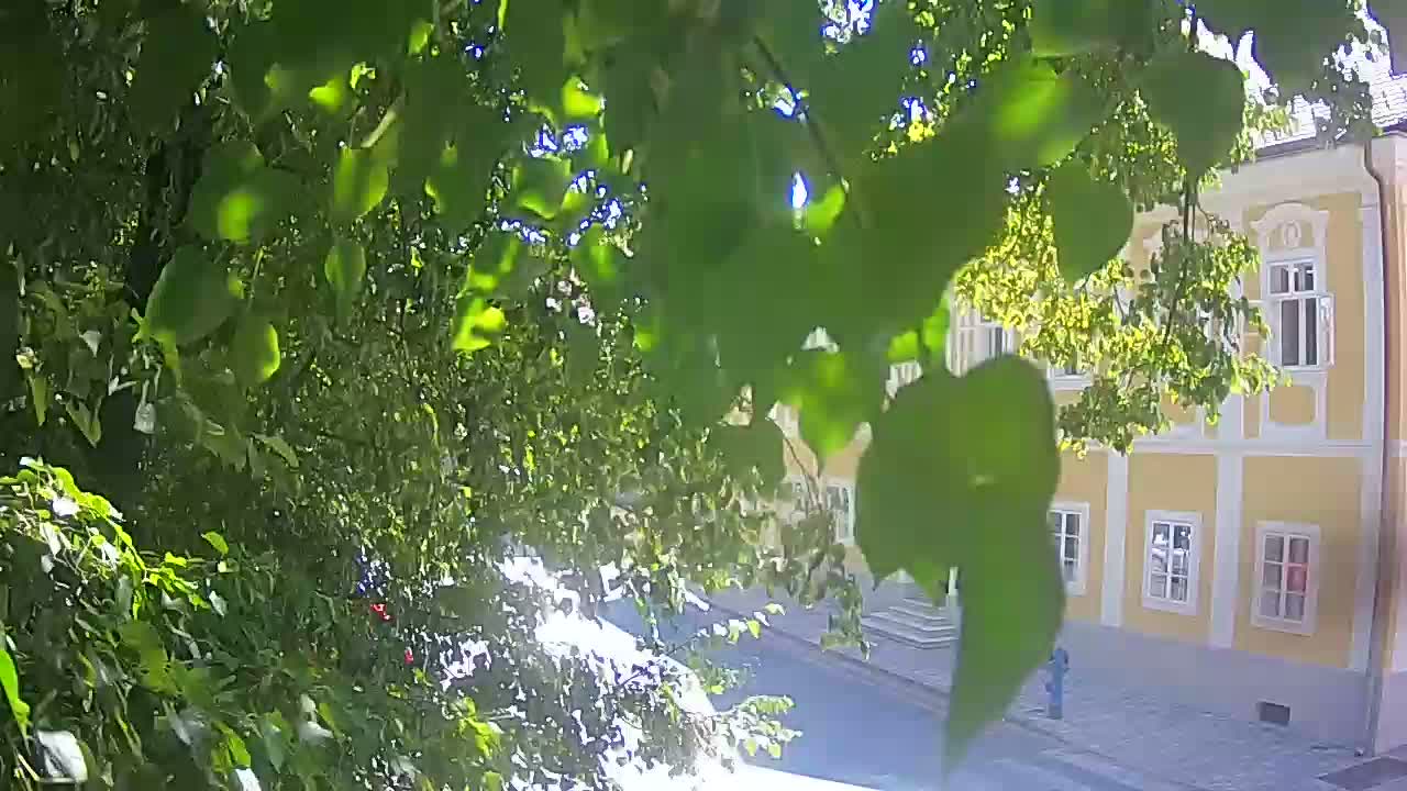 Live Webcam Petrinja Park – nach dem Erdbeben