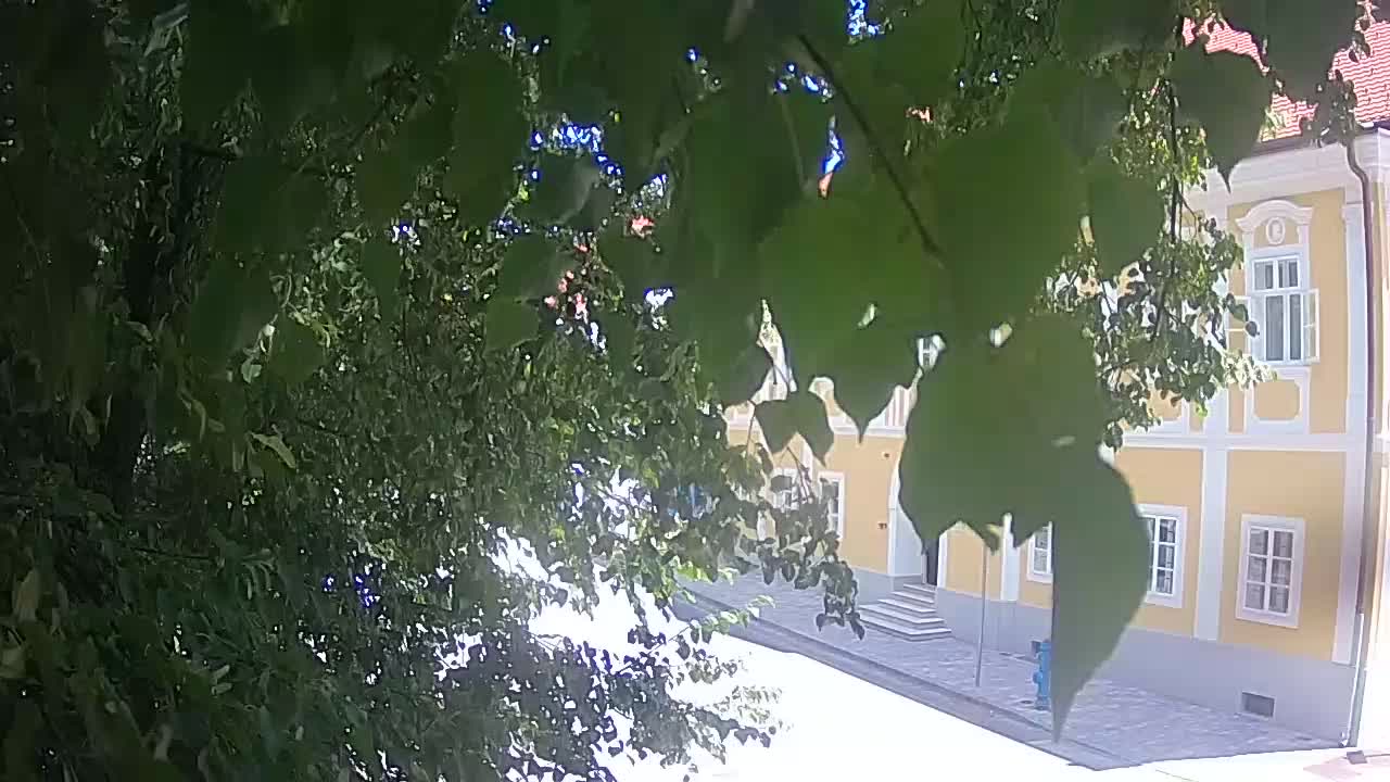 Web kamera uživo Petrinja centralni park – nakon potresa