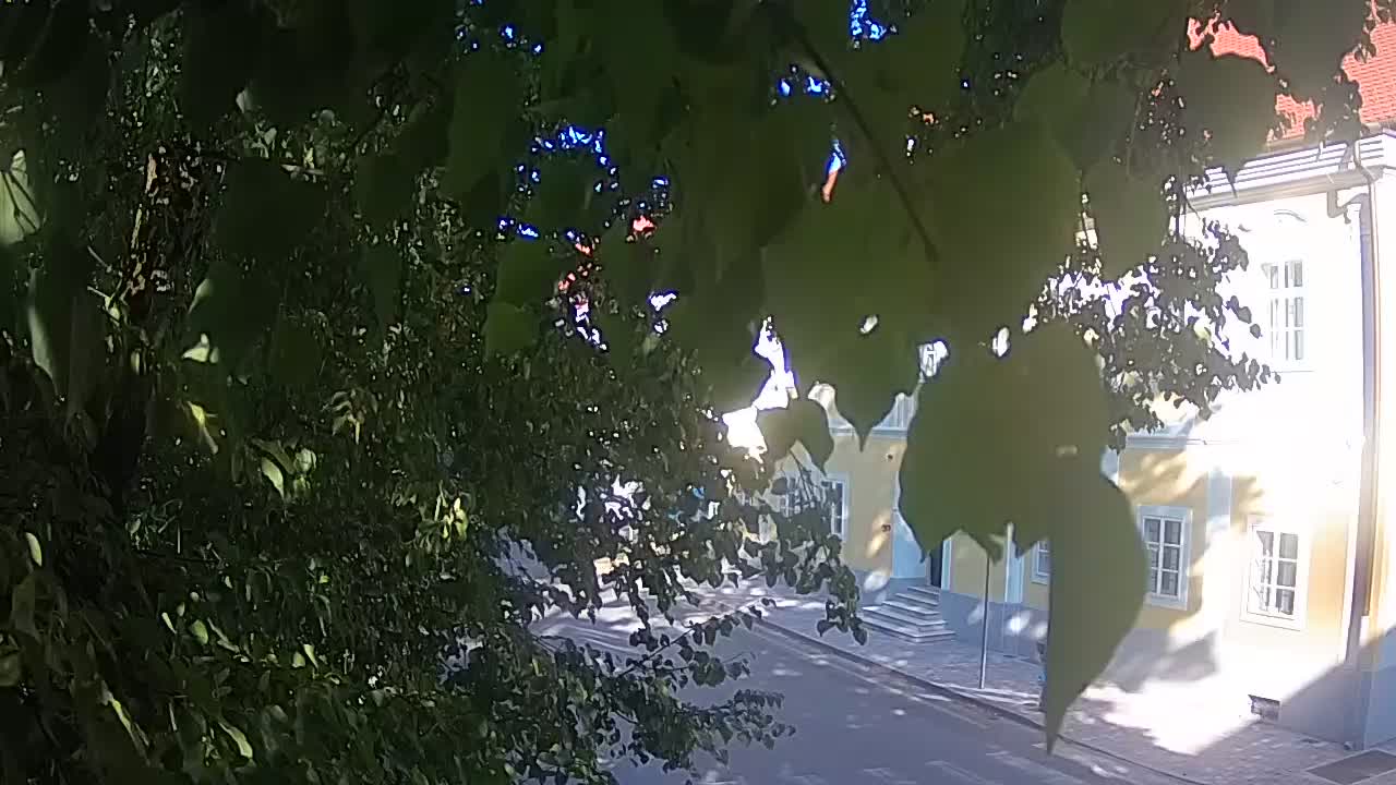 Webcam en direct du parc Petrinja – après le tremblement de terre