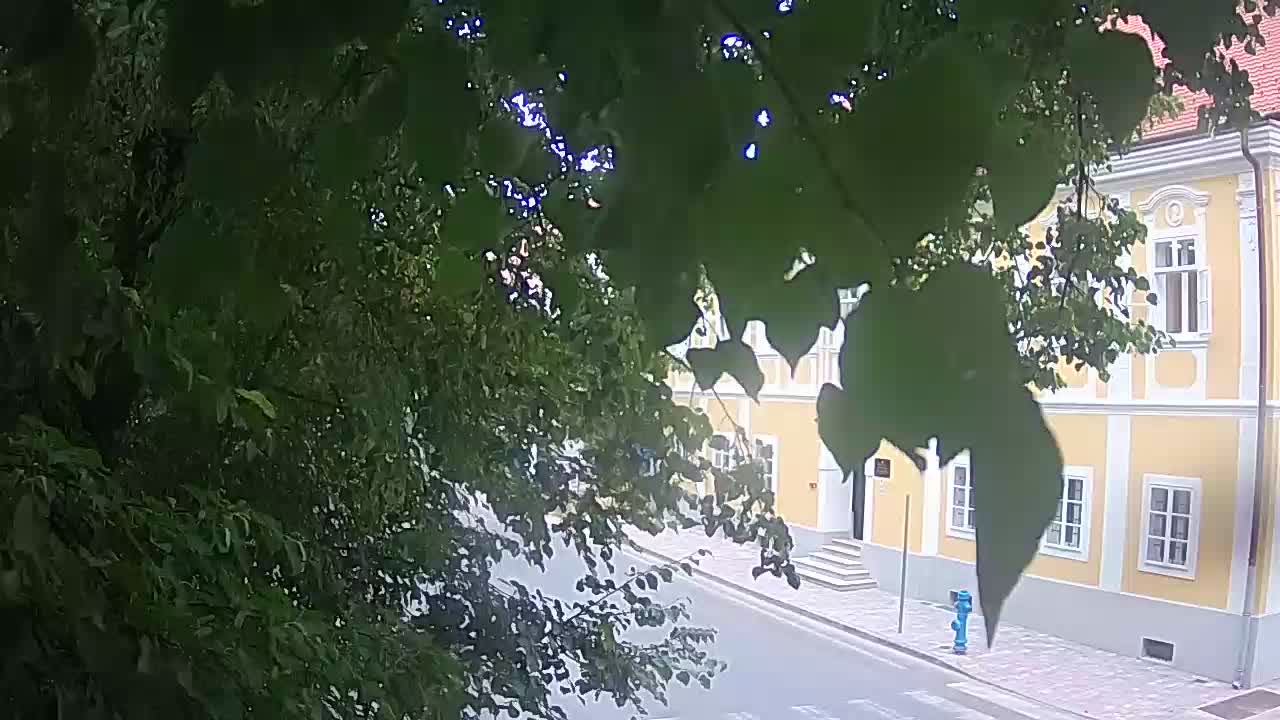 Spletna kamera v živo Petrinja centralni park – po potresu
