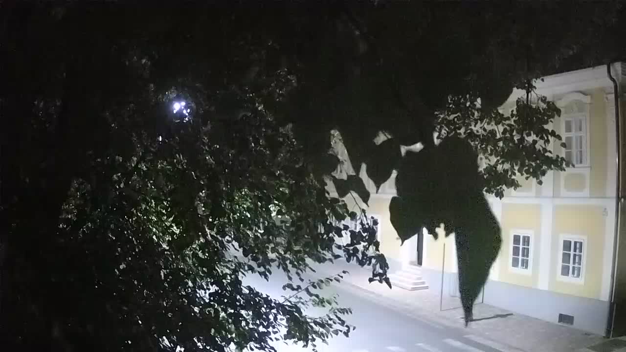 Webcam en direct du parc Petrinja – après le tremblement de terre