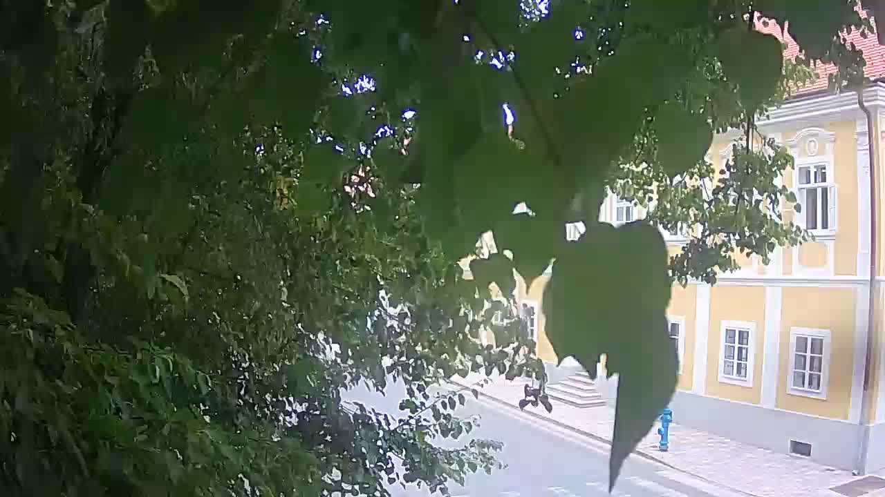 Live webcam parco Petrinja – dopo il terremoto