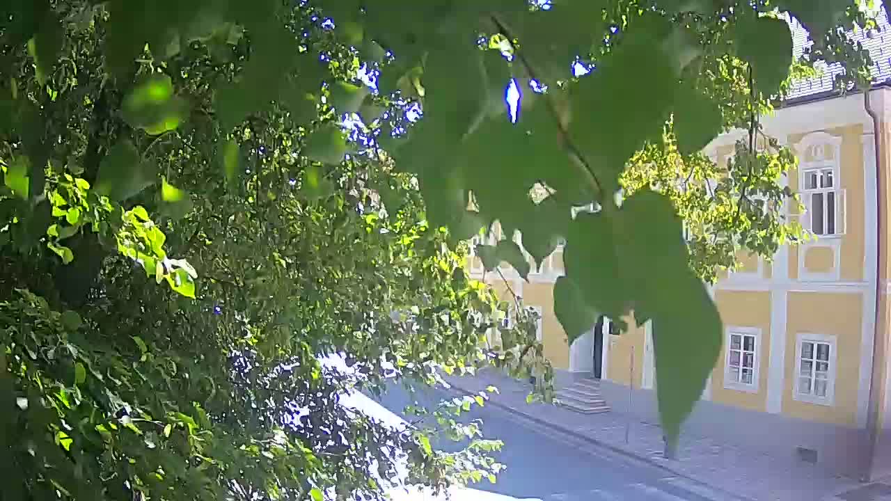 Web kamera uživo Petrinja centralni park – nakon potresa