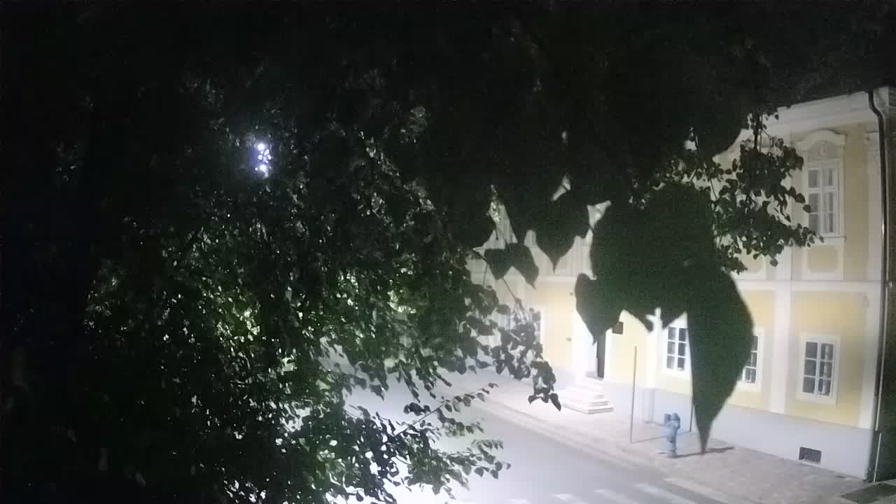 Webcam en direct du parc Petrinja – après le tremblement de terre