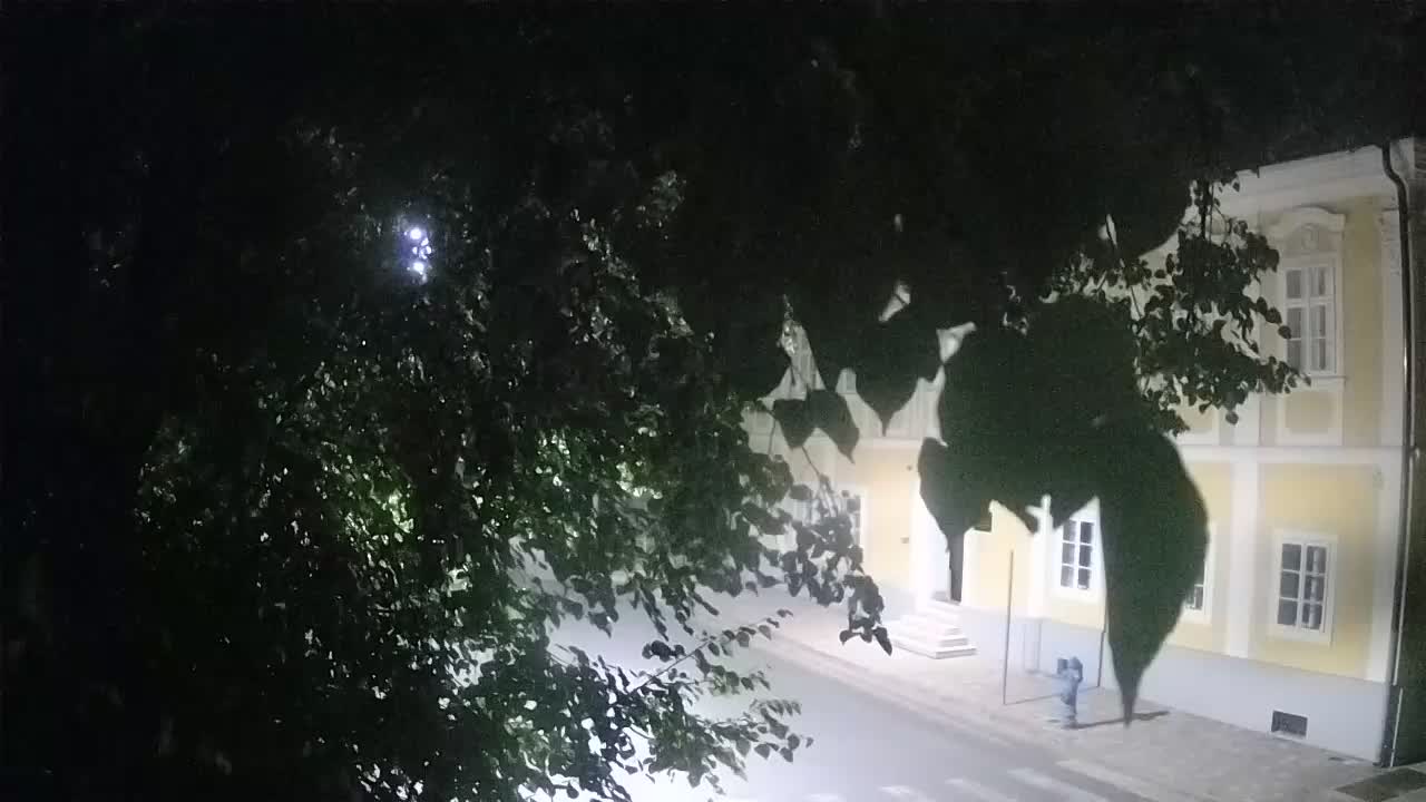 Web kamera uživo Petrinja centralni park – nakon potresa