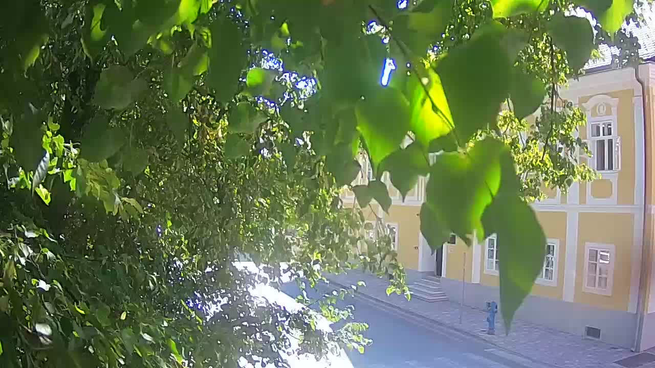 Spletna kamera v živo Petrinja centralni park – po potresu