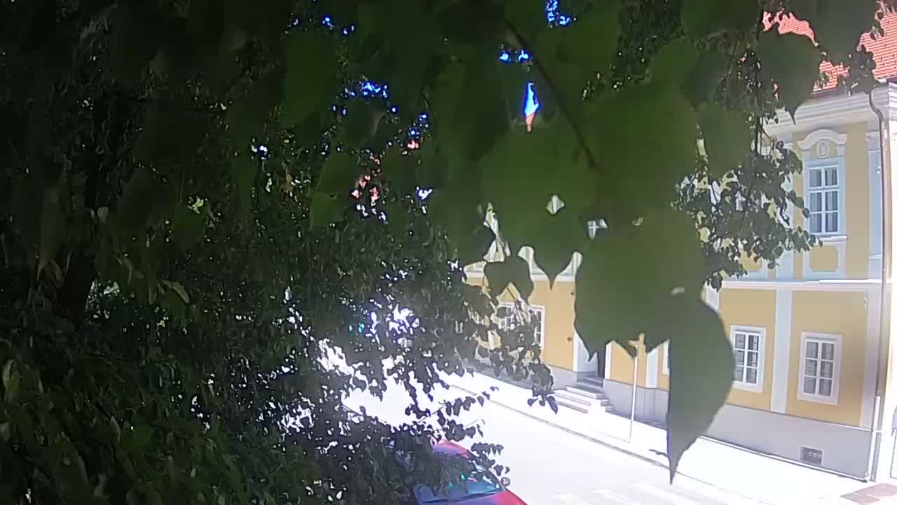 Webcam en direct du parc Petrinja – après le tremblement de terre