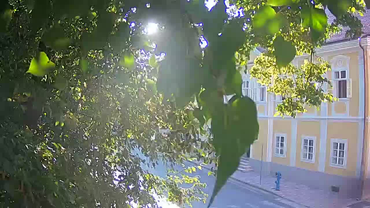 Live Webcam Petrinja Park – nach dem Erdbeben