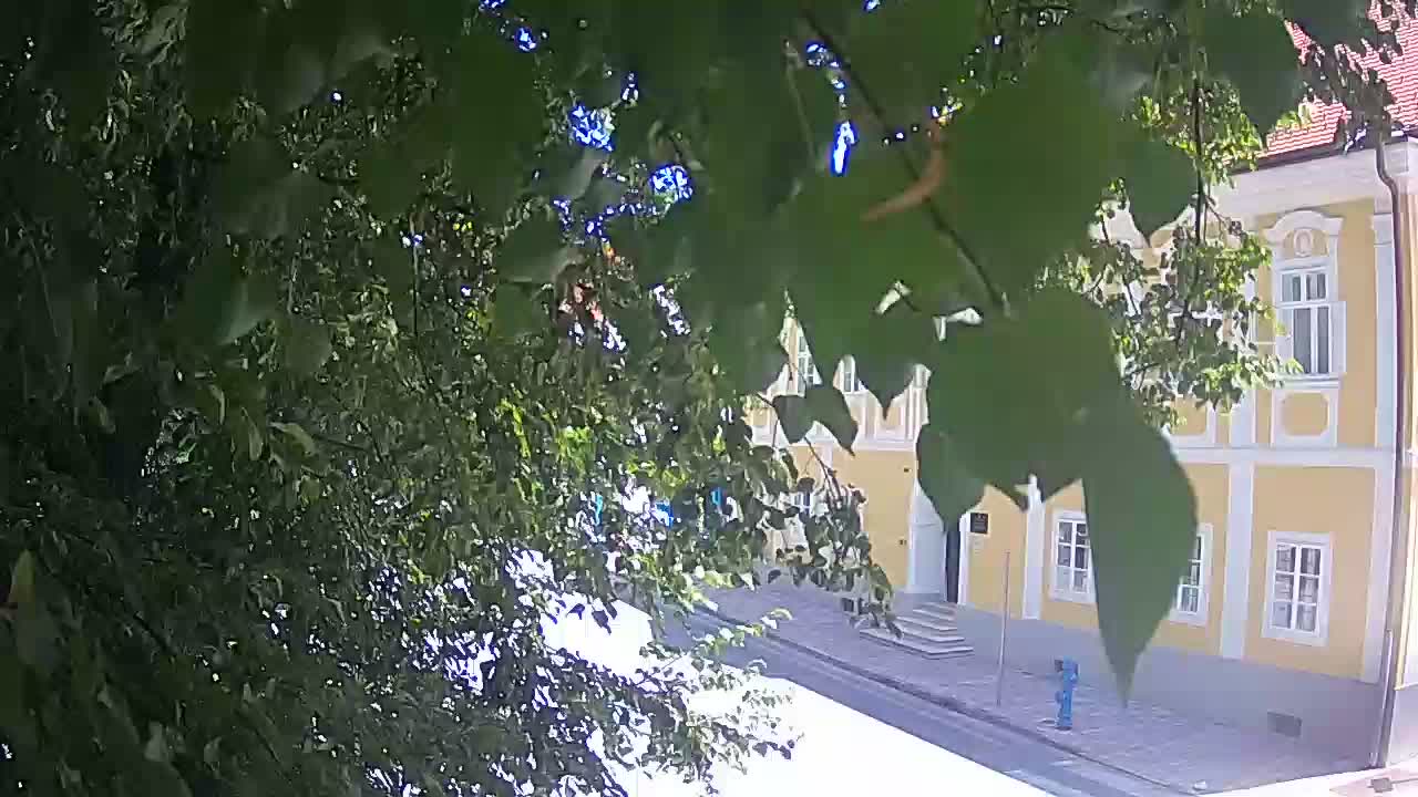 Webcam en vivo parque Petrinja – después del terremoto