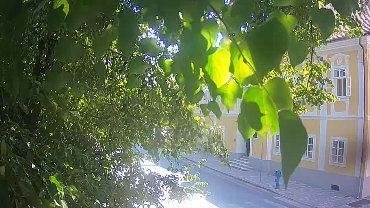 Live webcam parco Petrinja – dopo il terremoto
