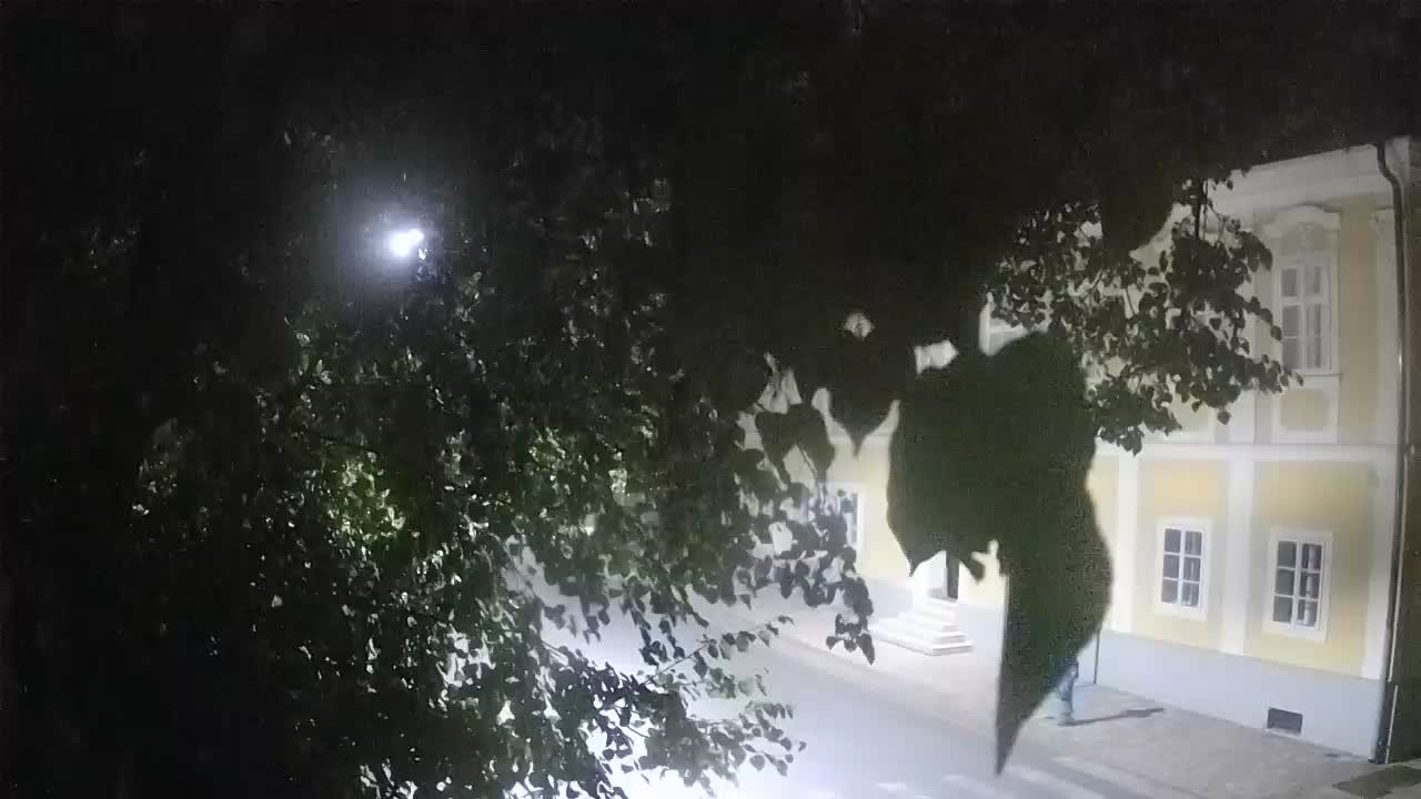 Live webcam parco Petrinja – dopo il terremoto