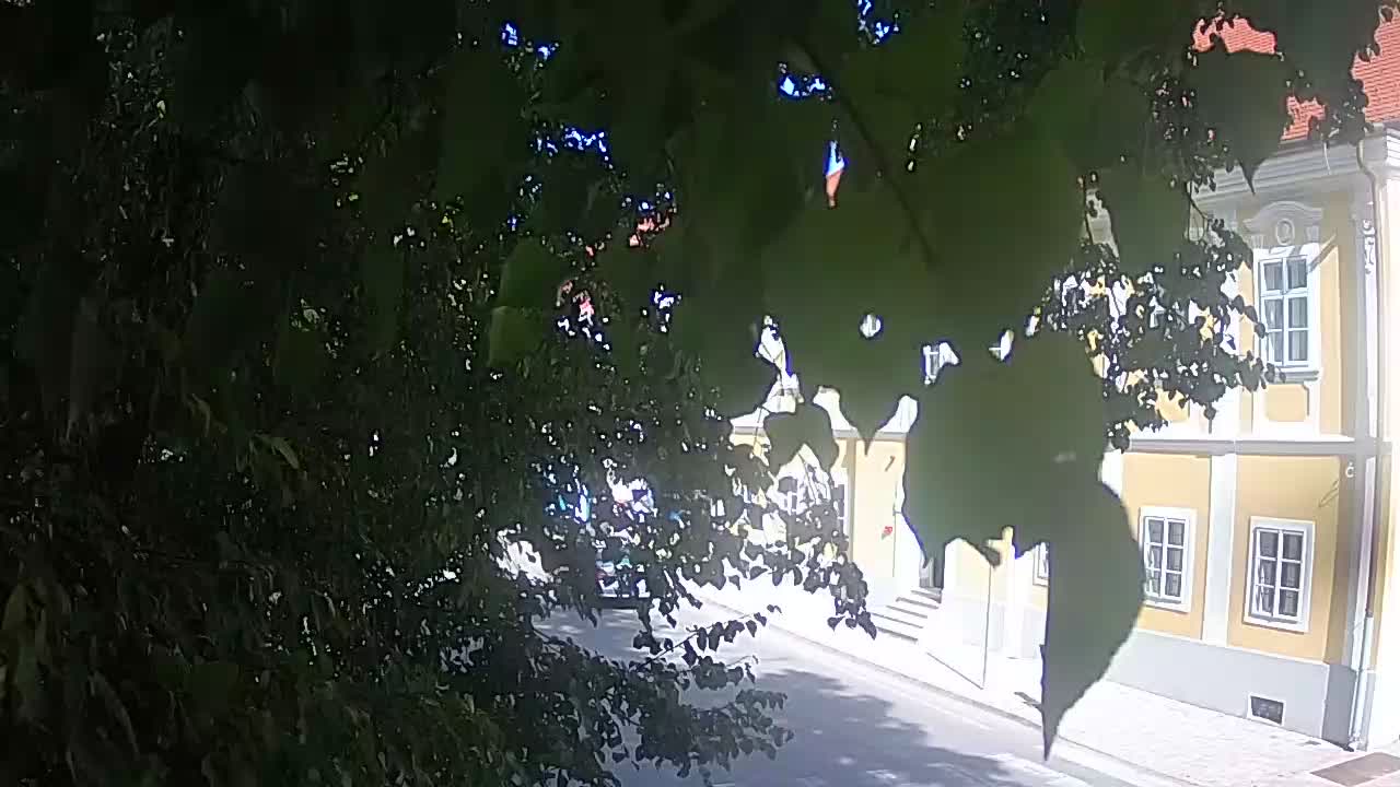 Live webcam Petrinja central park – after the earthquake