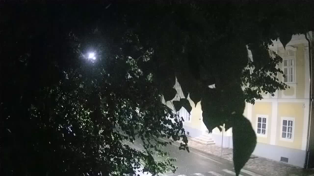 Live webcam parco Petrinja – dopo il terremoto